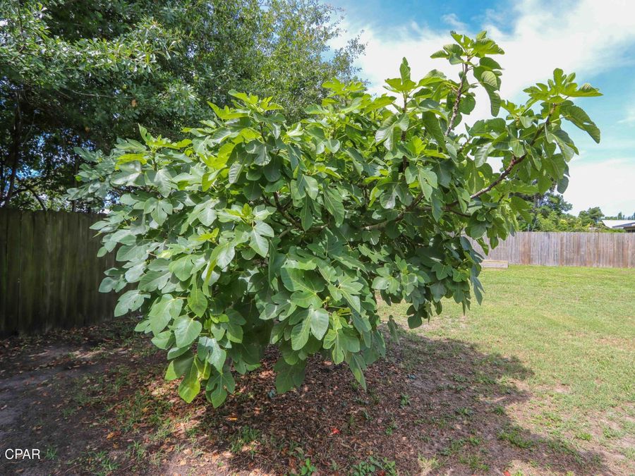 Property Image 79