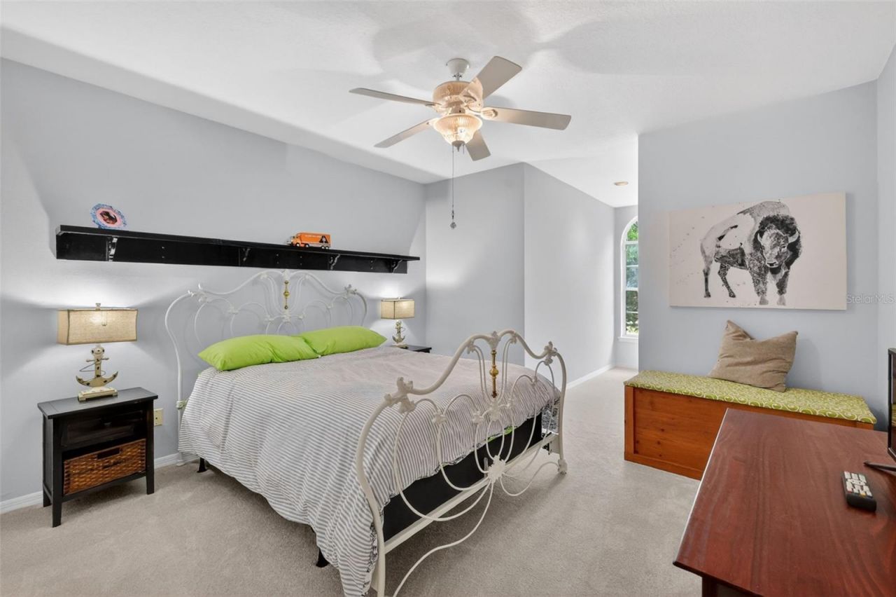 20514 Bill Collins Road, Eustis, FL 32736 Photo