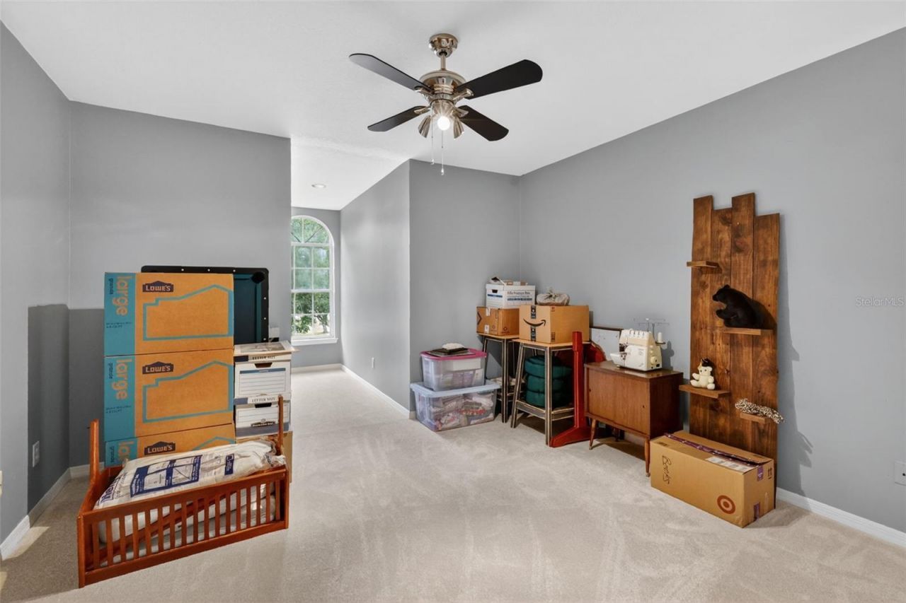 20514 Bill Collins Road, Eustis, FL 32736 Photo