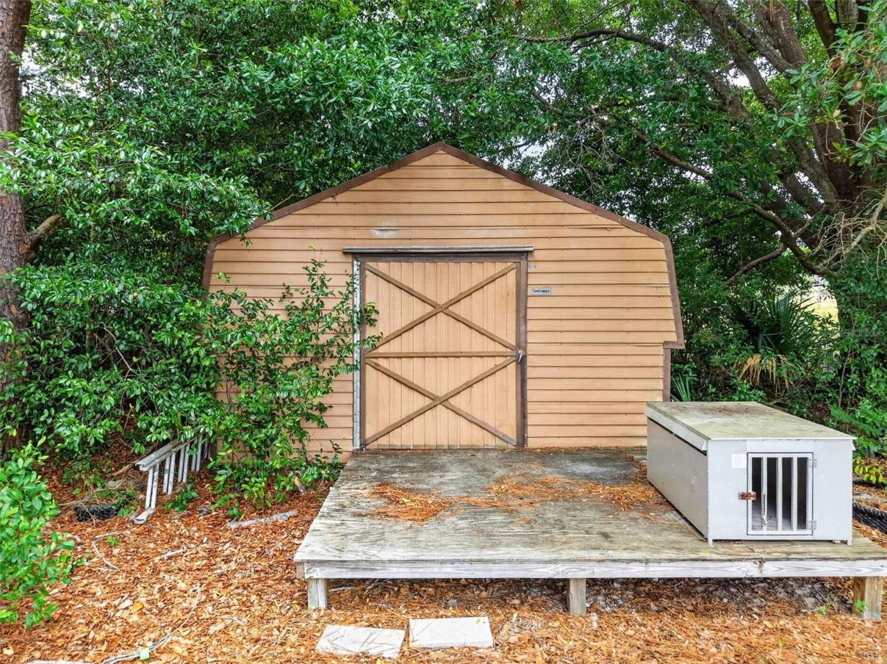 20514 Bill Collins Road, Eustis, FL 32736 Photo
