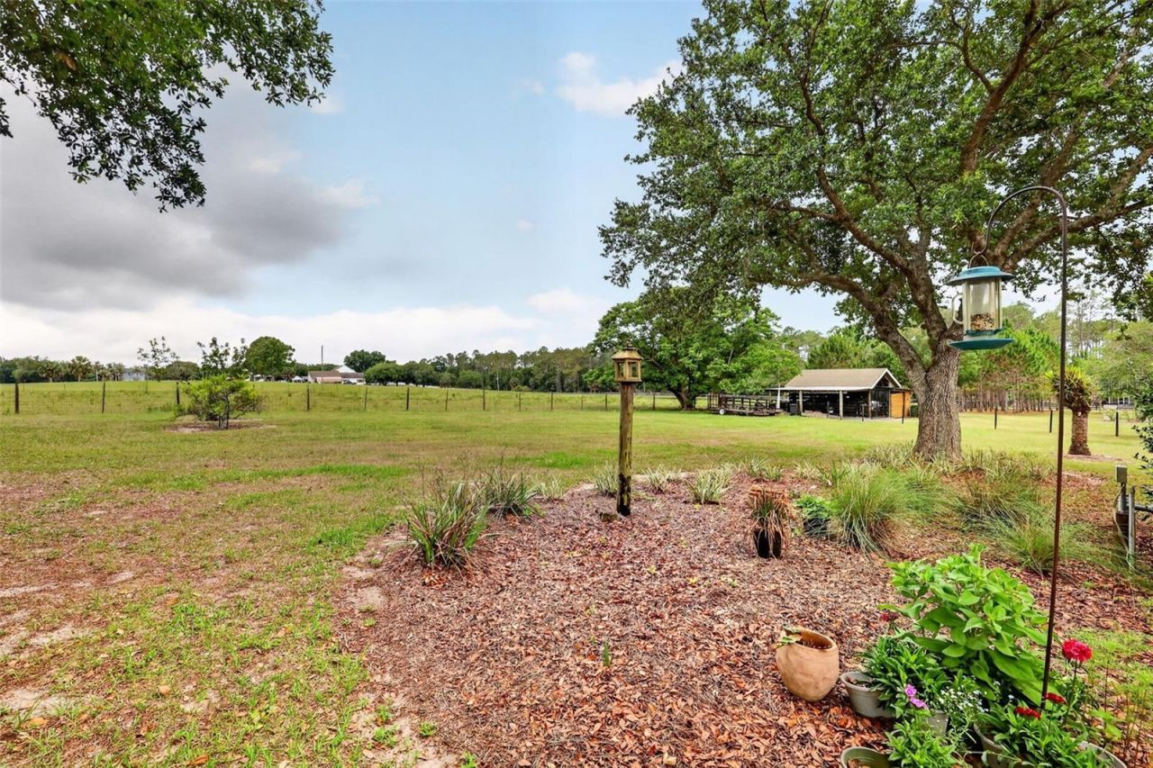 20514 Bill Collins Road, Eustis, FL 32736 Photo