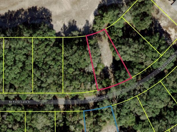 SE FISHER LANE DRIVE , OCKLAWAHA, FL 32179