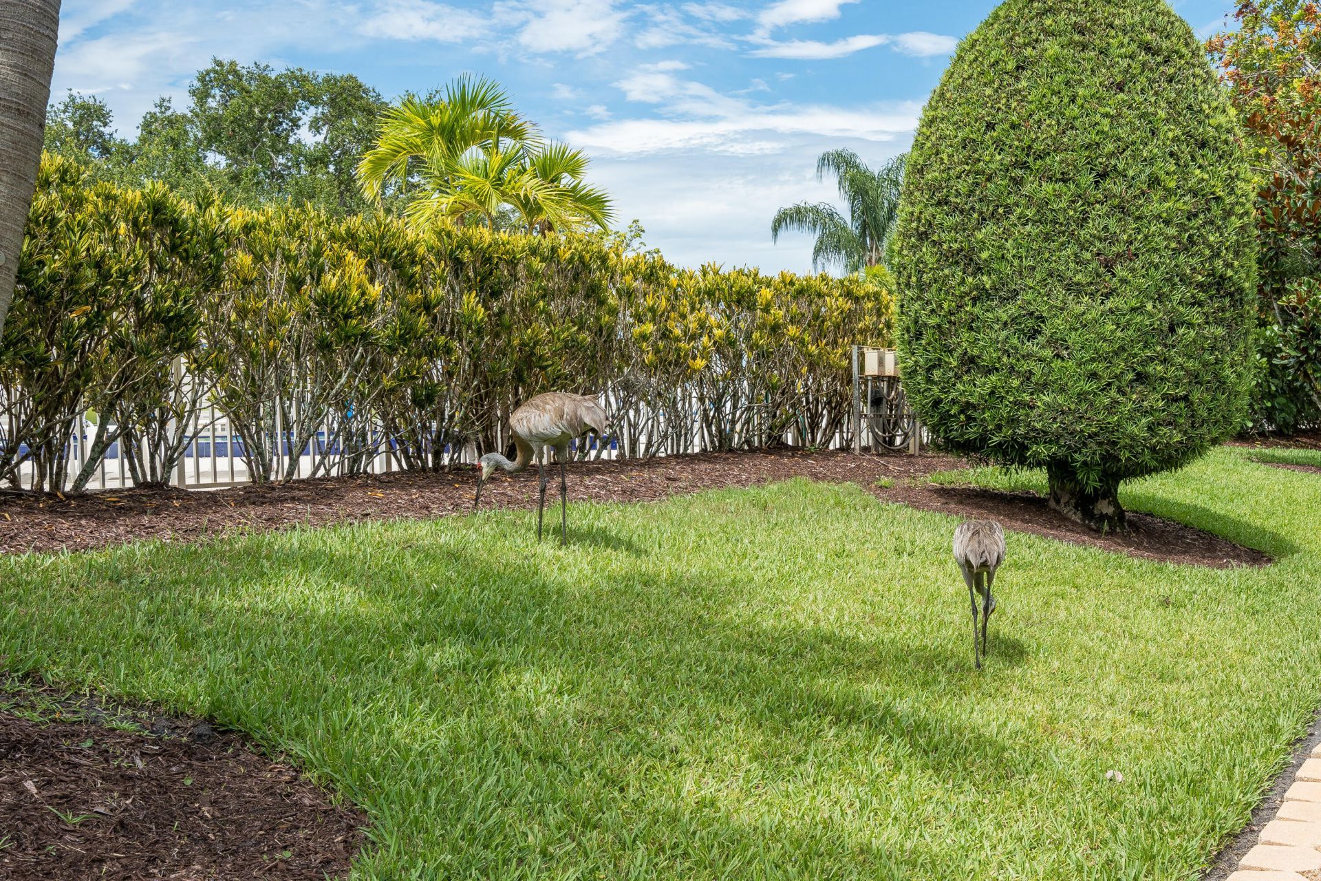 18081 SE Country Club Drive, Unit 132, Jupiter, FL 33469 Photo