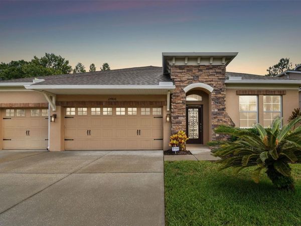 27806 AUTUMN BREEZE CIRCLE , WESLEY CHAPEL, FL 33544