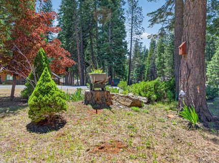 301 Raccoon Trail, Lake Almanor, CA 96020 Photo