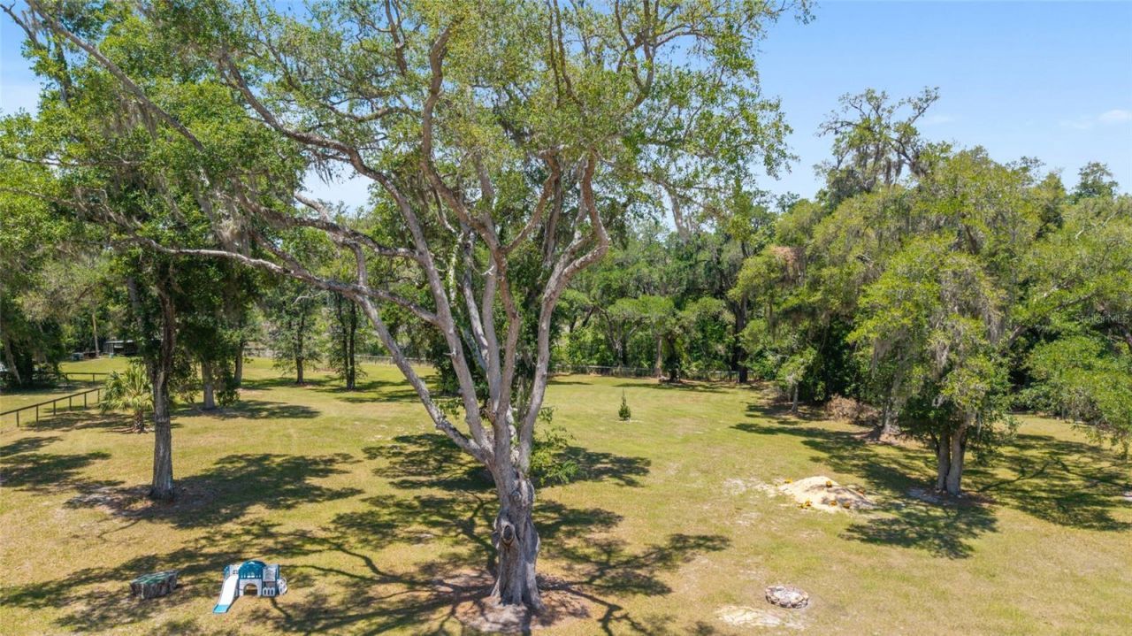 21561 SE 30 Street, Williston, FL 32696 Photo