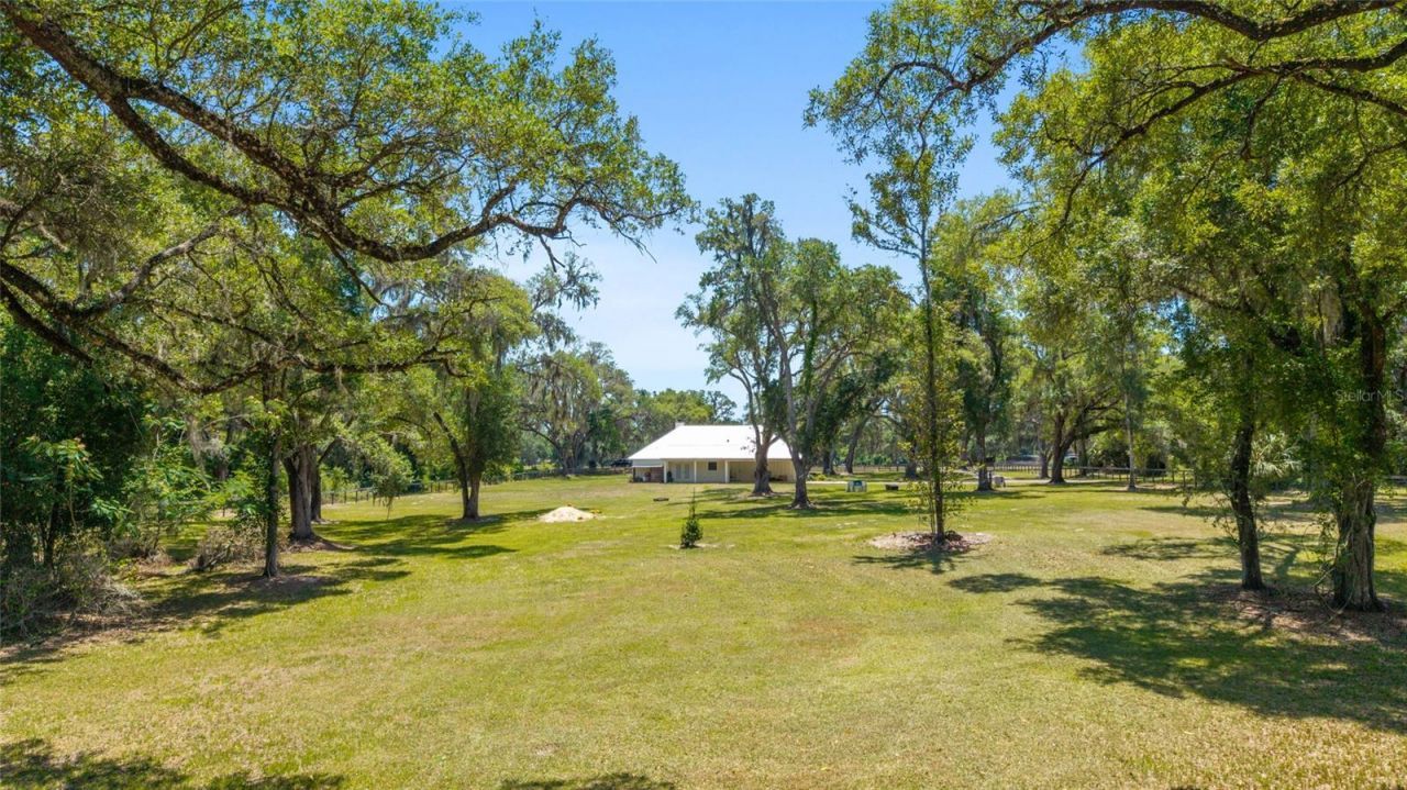 21561 SE 30 Street, Williston, FL 32696 Photo