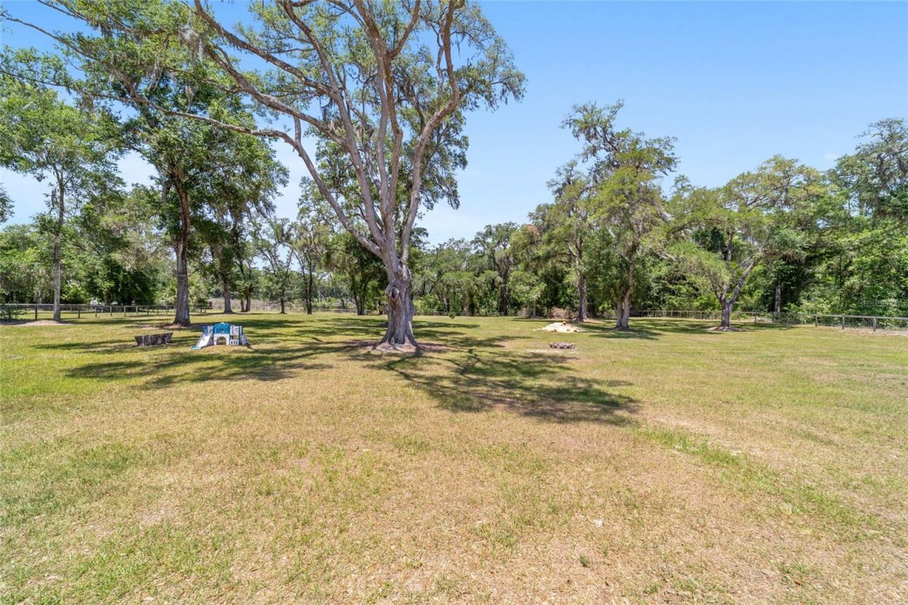 21561 SE 30 Street, Williston, FL 32696 Photo