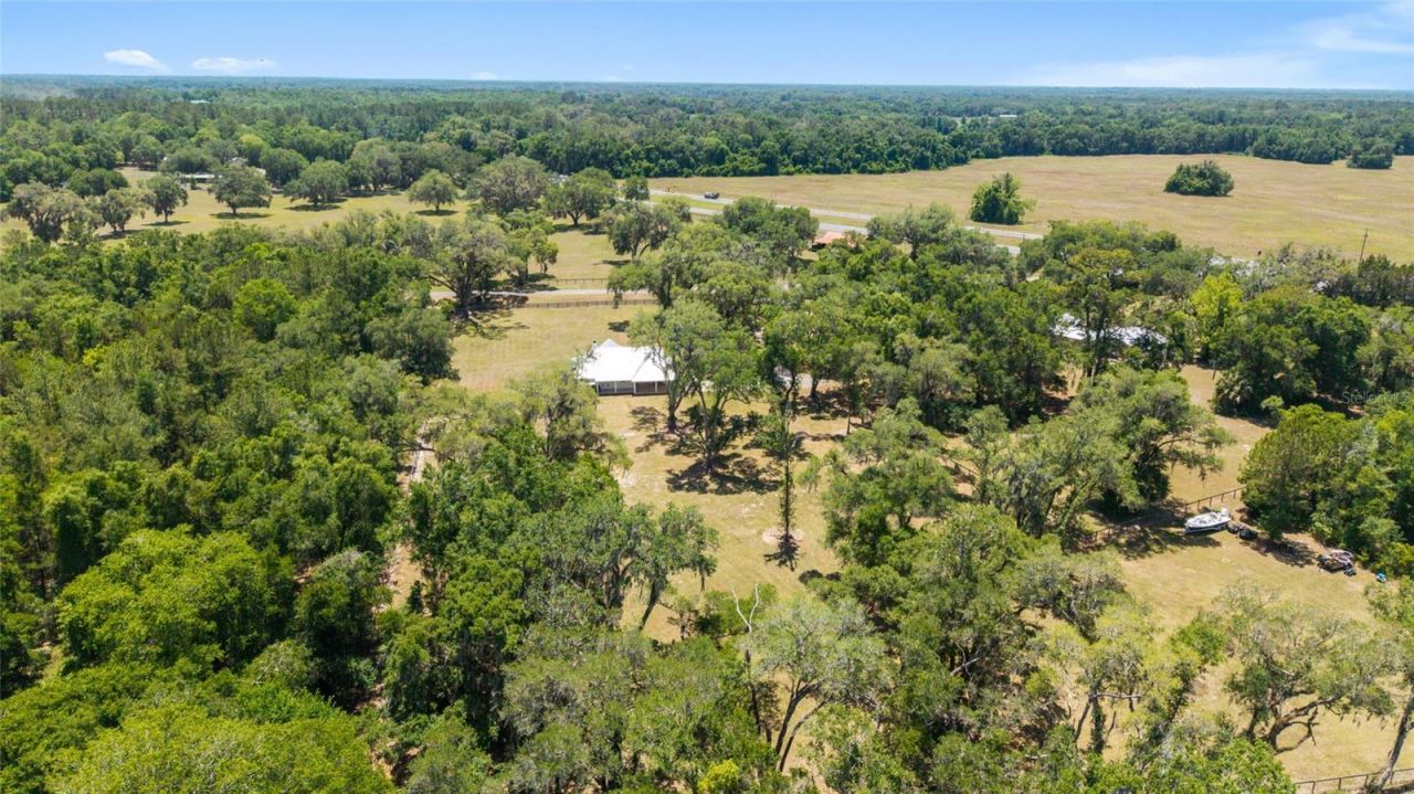 21561 SE 30 Street, Williston, FL 32696 Photo