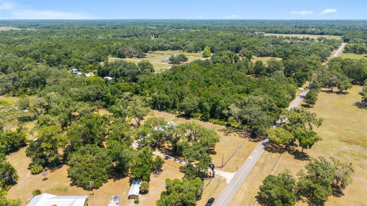 21561 SE 30 Street, Williston, FL 32696 Photo