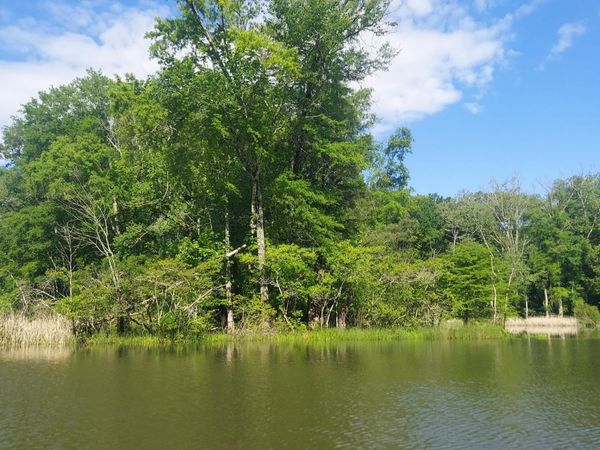 45 Warren Lane , Unit 4 & 5, Decatur, TN 37322