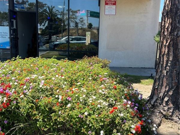 Lawndale, CA 90260