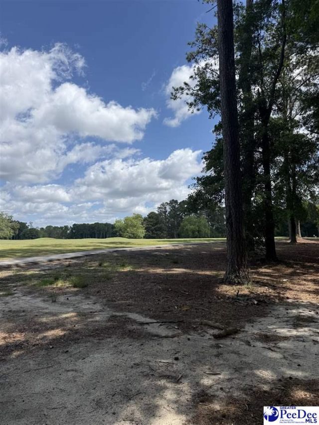 Tbd Fairway Lane Photo 5
