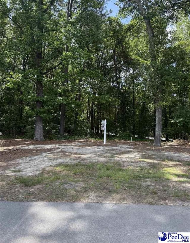 Tbd Fairway Lane Photo 7