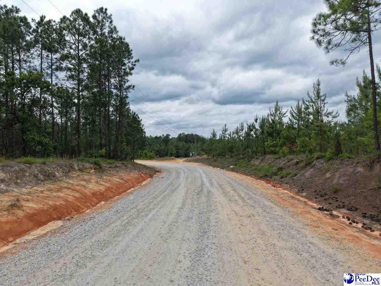 Jc Barefoot Rd Photo 13