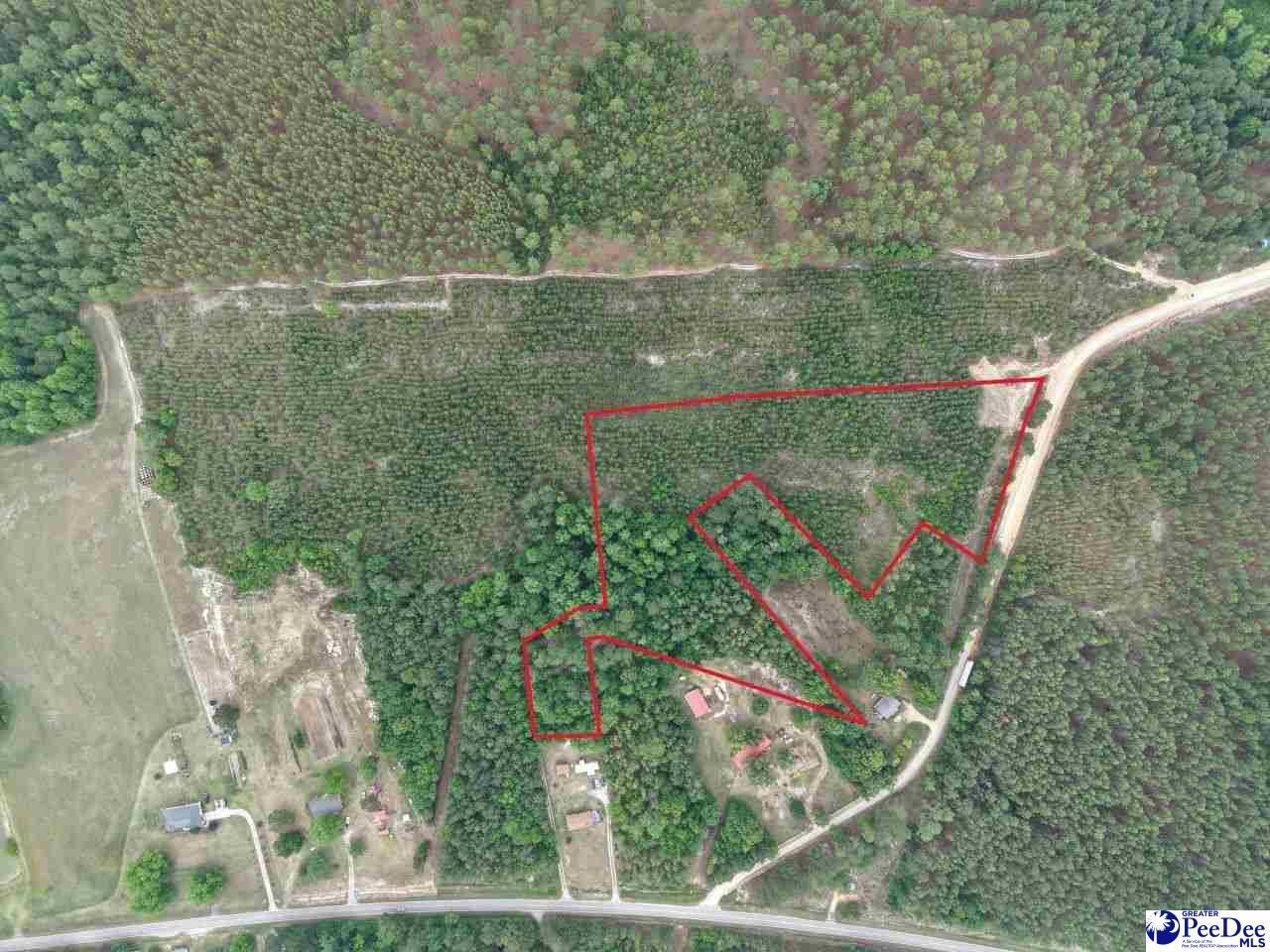 231 Jc Barefoot Rd Photo 20