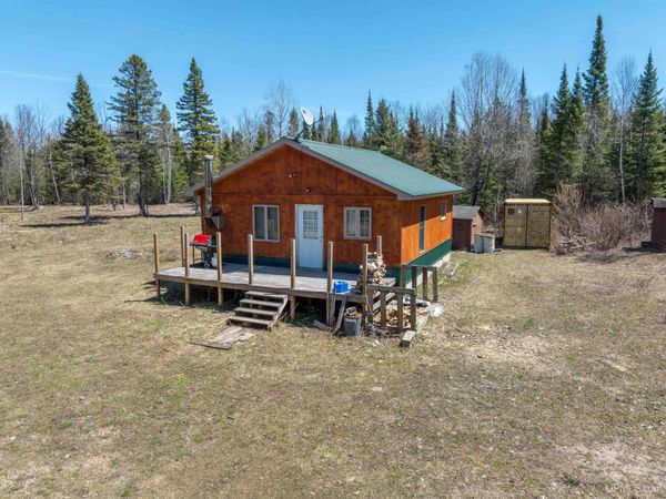 E4291 Walleye Rd Road, Mathias Twp, MI 49816