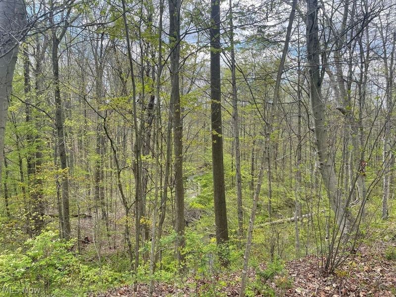 17151 Farmington Road, West Farmington, OH 44491 Photo 31