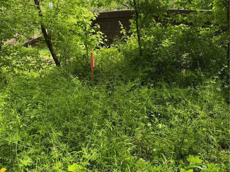 Harrietsville SR 145 Road , Lower Salem, OH 45745 Photo 2