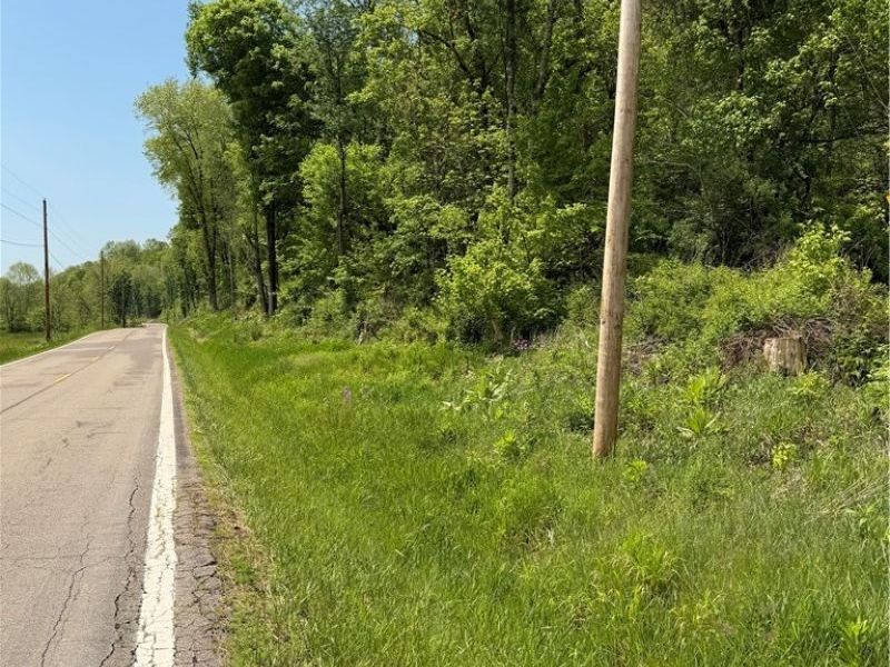 Harrietsville SR 145 Road , Lower Salem, OH 45745 Photo 3
