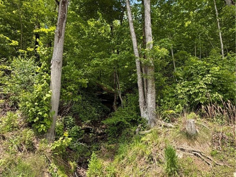 Harrietsville SR 145 Road , Lower Salem, OH 45745 Photo 4