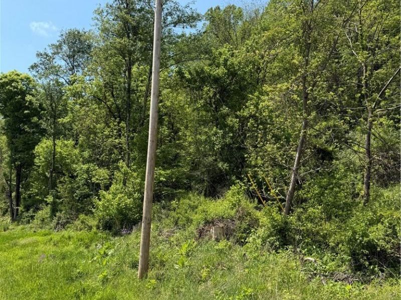 Harrietsville SR 145 Road , Lower Salem, OH 45745 Photo 5