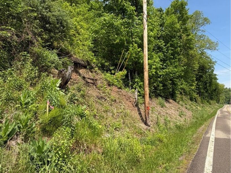 Harrietsville SR 145 Road , Lower Salem, OH 45745 Photo 6