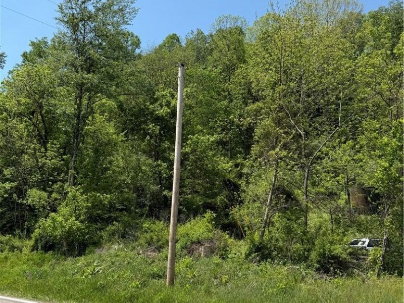 Harrietsville SR 145 Road , Lower Salem, OH 45745 Photo 7