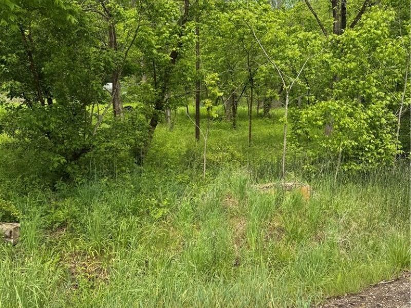 Harrietsville SR 145 Road , Lower Salem, OH 45745 Photo 8