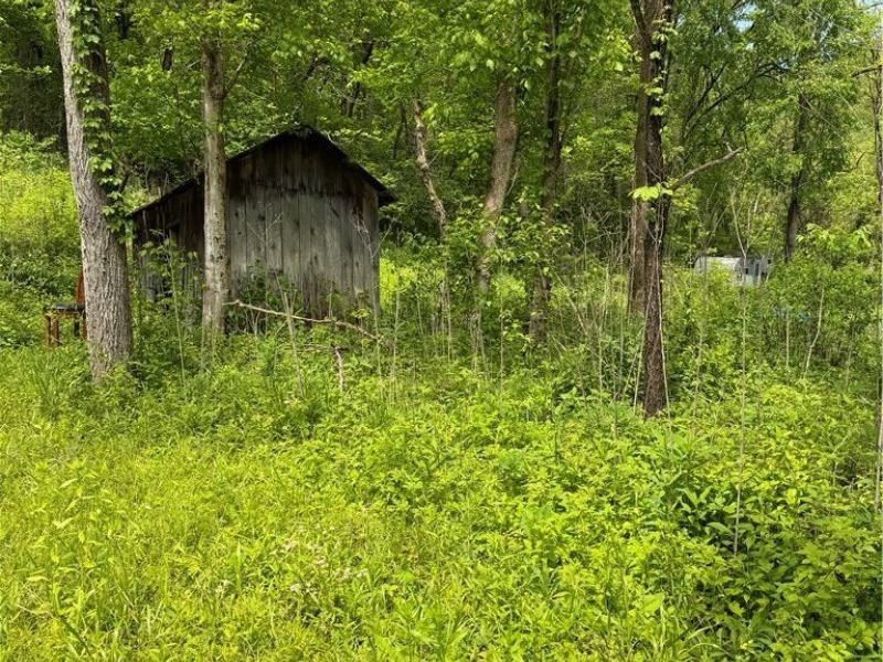 Harrietsville SR 145 Road , Lower Salem, OH 45745 Photo 9