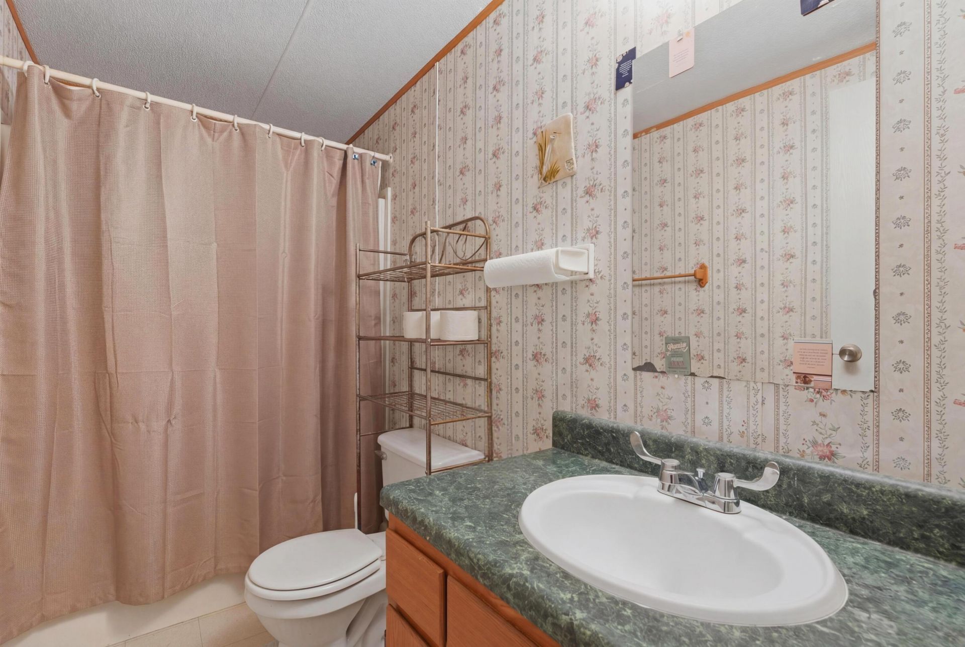141 Mainester Lane Photo 18