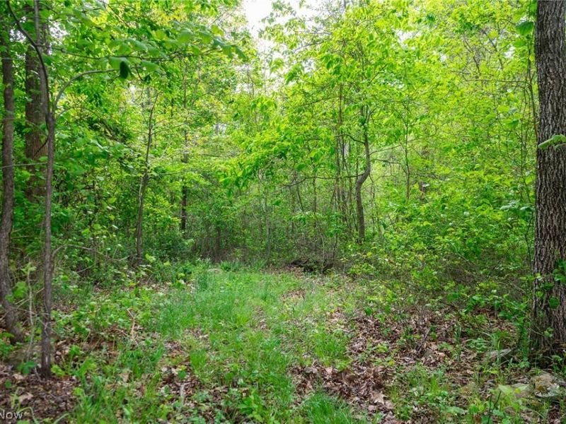 70870 Norwalk Road, Kimbolton, OH 43749 Photo 10