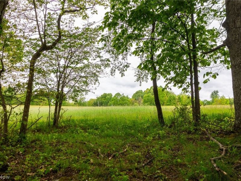 70870 Norwalk Road, Kimbolton, OH 43749 Photo 11