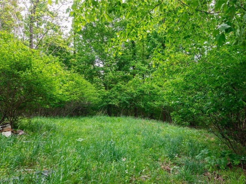 70870 Norwalk Road, Kimbolton, OH 43749 Photo 17