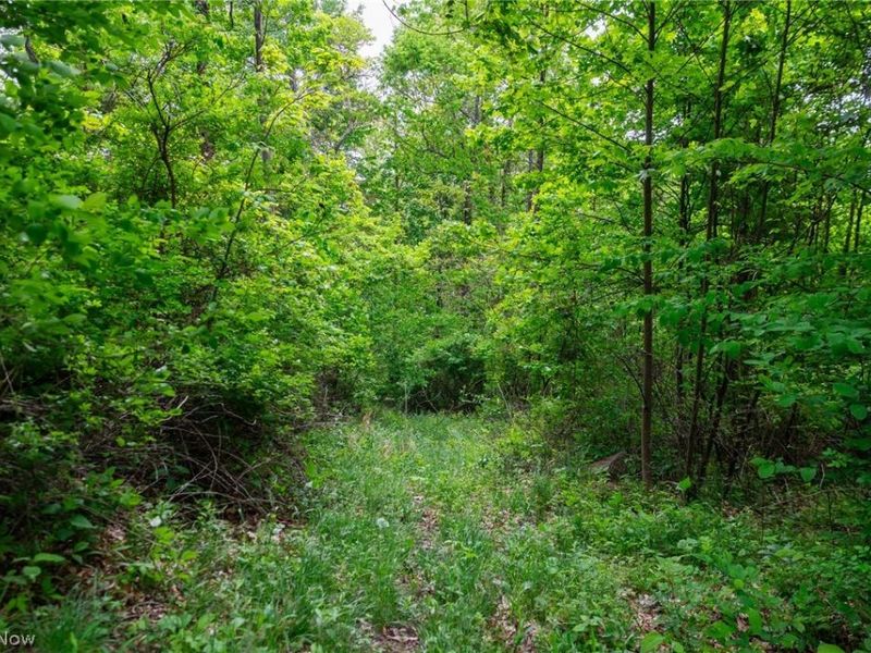 70870 Norwalk Road, Kimbolton, OH 43749 Photo 19