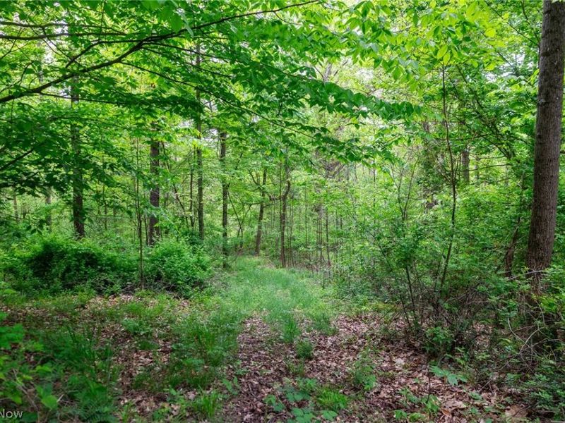 70870 Norwalk Road, Kimbolton, OH 43749 Photo 20