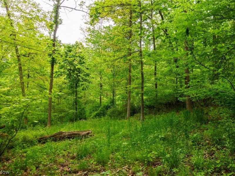 70870 Norwalk Road, Kimbolton, OH 43749 Photo 21