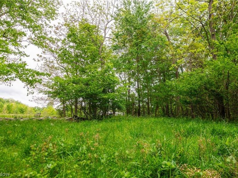 70870 Norwalk Road, Kimbolton, OH 43749 Photo 23
