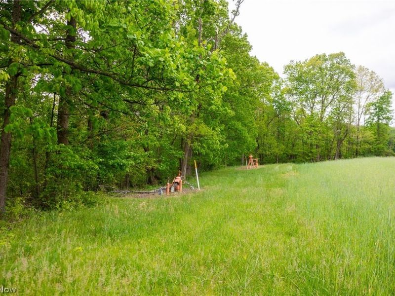 70870 Norwalk Road, Kimbolton, OH 43749 Photo 24
