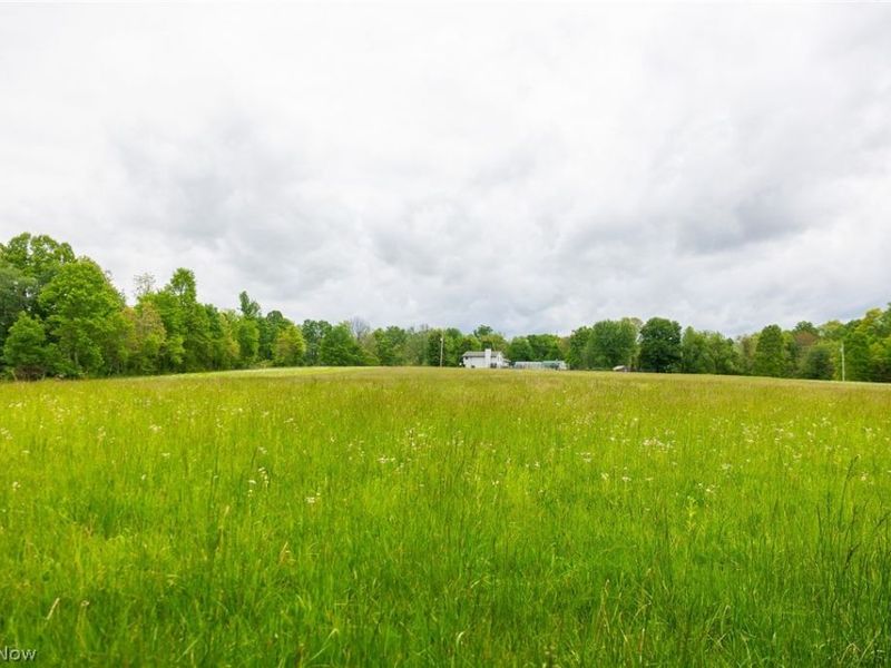 70870 Norwalk Road, Kimbolton, OH 43749 Photo 6