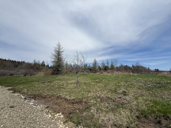 Lot 3 Holmes Bay Farms Road , Whiting, ME 04691