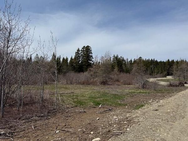 Lot 2 Holmes Bay Farms Road , Whiting, ME 04691