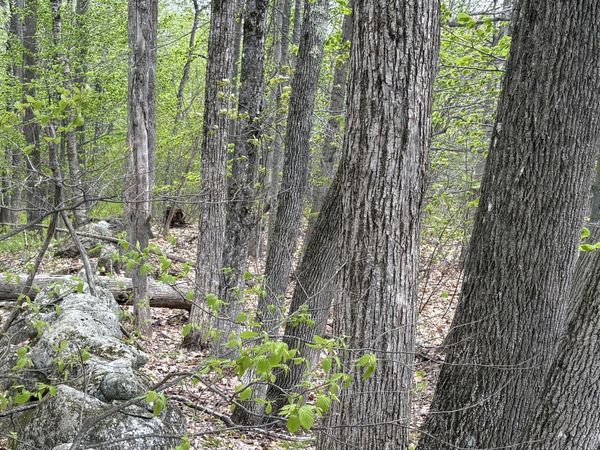 Lot #042 Tower Road , Unit M 005 L 04, Vienna, ME 04360