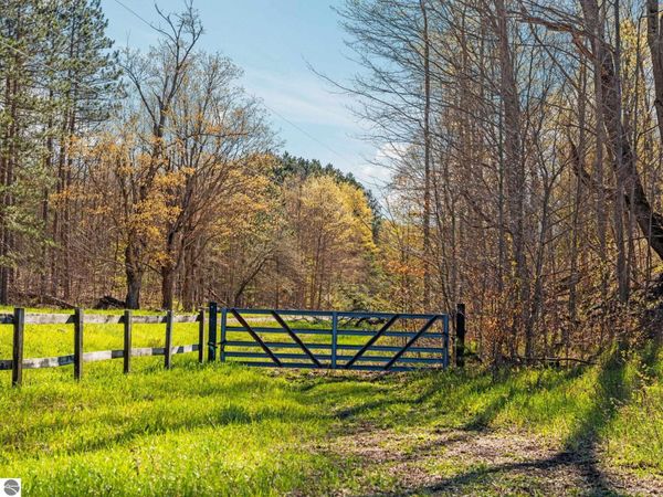 20 Road E, Mesick, MI 49663