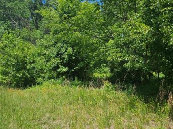 Lot 2 BURNT MILL ROAD , Unit LOT #2, RIDGELY, MD 21660