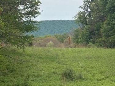 1311 RED HILL ROAD , DAUPHIN, PA 17018