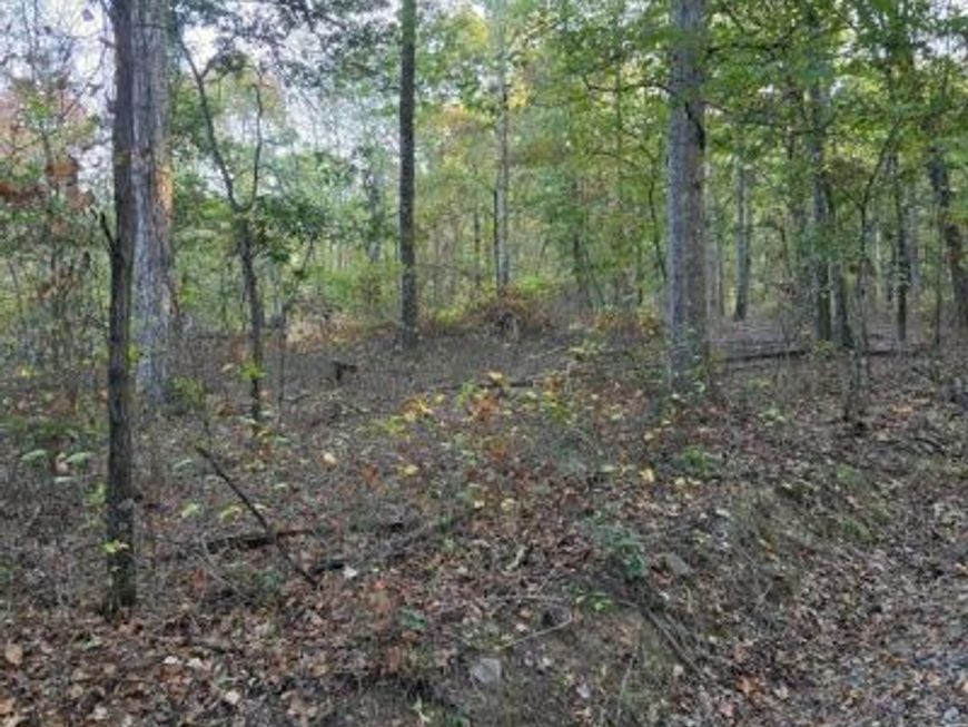Hungaria Road, Berkeley Springs, WV 25411 Main Photo
