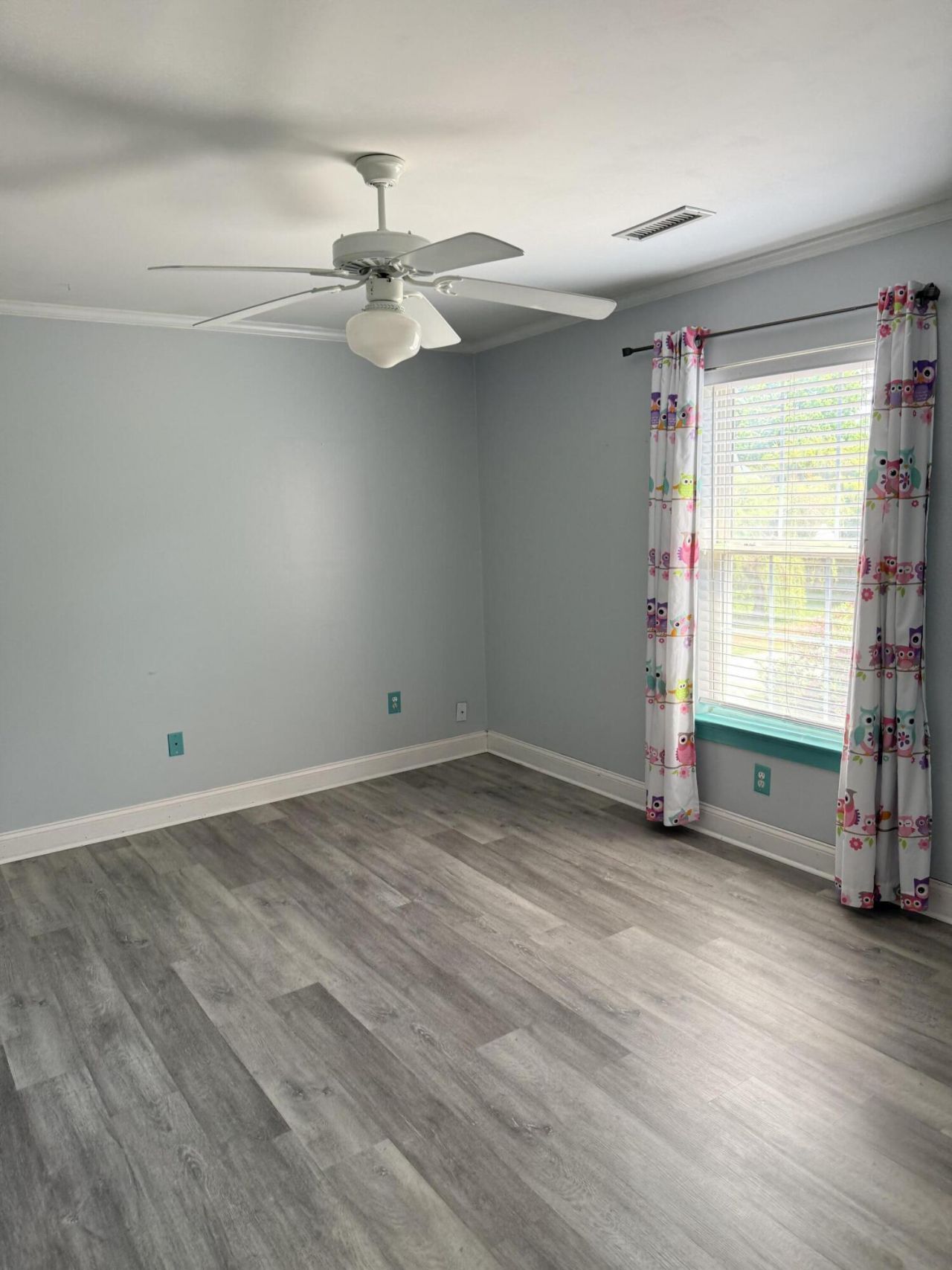 1097 Clearspring Drive Photo 5