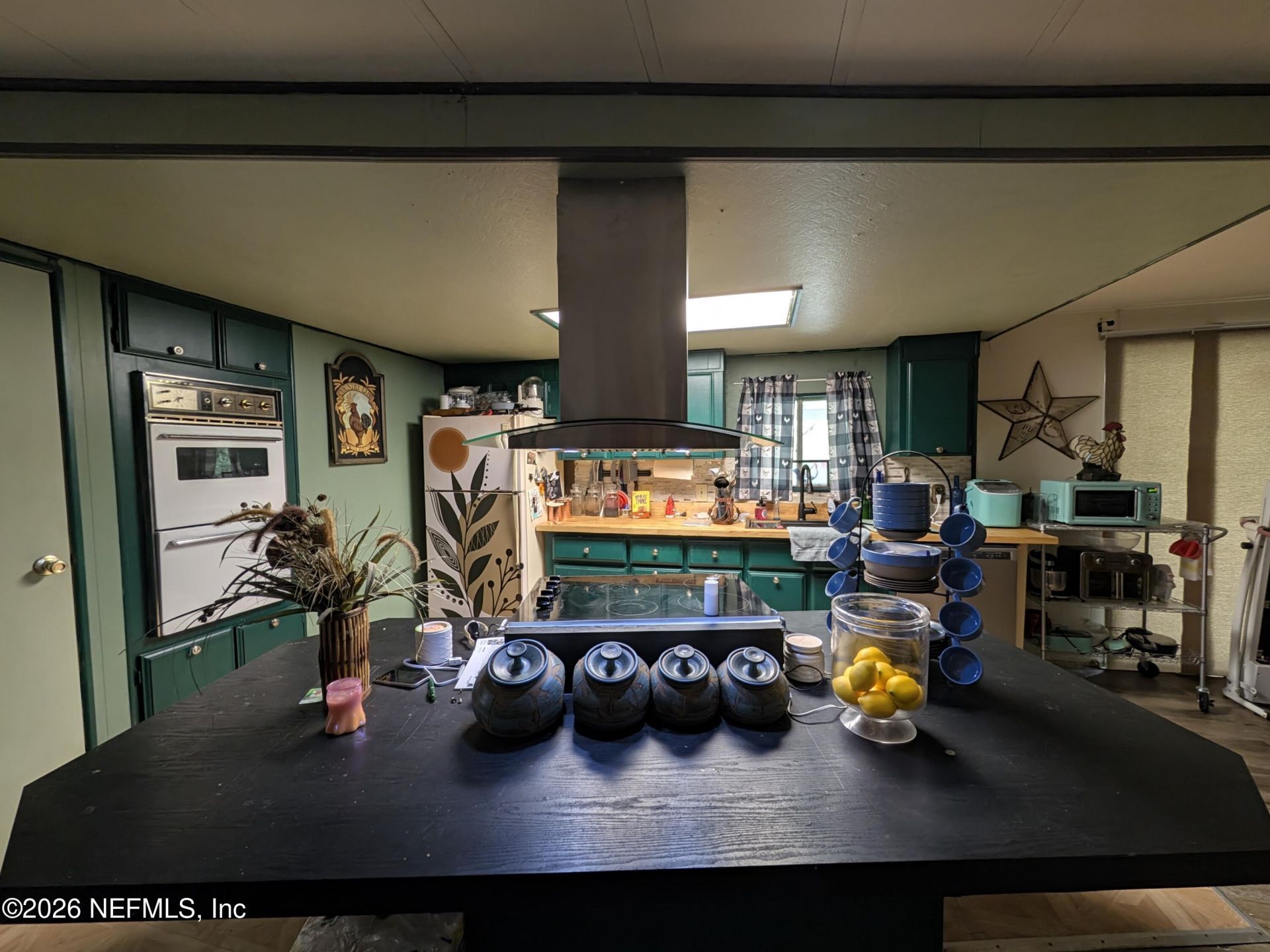 204 Seminole Trail, Georgetown, FL 32139 Photo
