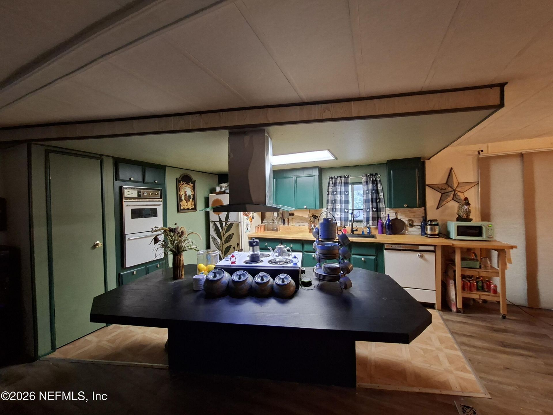 204 Seminole Trail, Georgetown, FL 32139 Photo